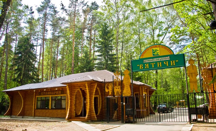 Новый год 2012 в подмосковье Вятичи